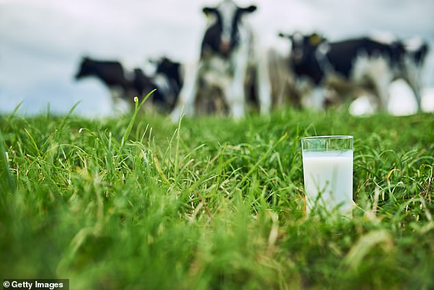 In recent months, more and more Republican US states, including Georgia, North Dakota, West Virginia and Iowa, have voted to end the ban on raw milk.