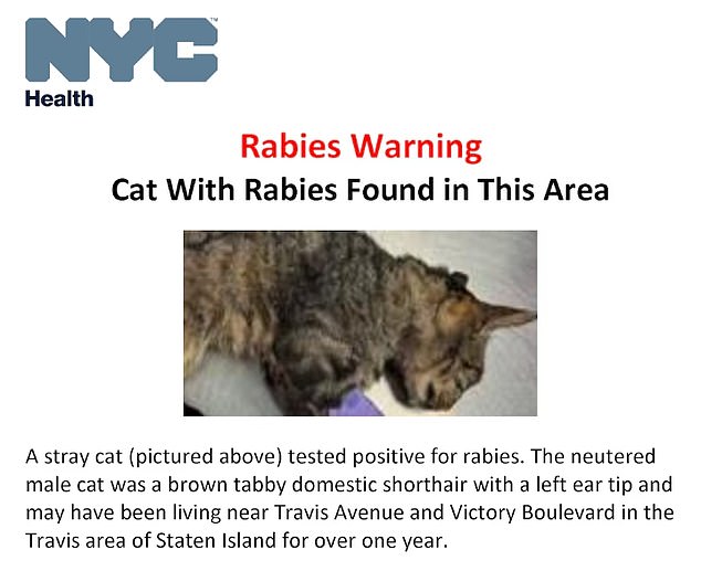 A rabid stray cat attacked people in Staten Island, New York, last month