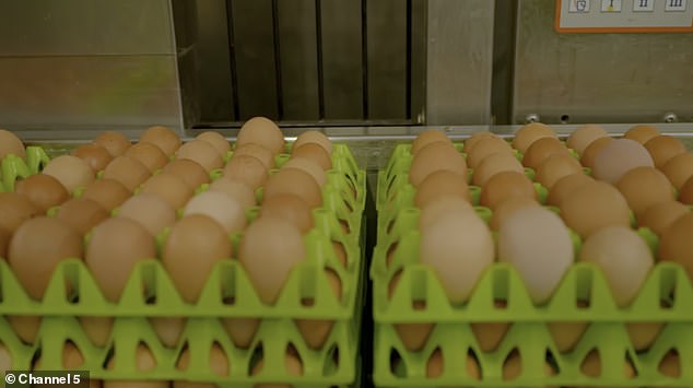 It includes fascinating information, such as Lidl's egg production, where 180,000 eggs pass through a machine per hour.