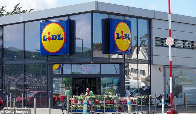 Supermarket giant Lidl saw its revenue rise to £9.3bn in the year to February 2023, up 18.8 per cent on the previous year.