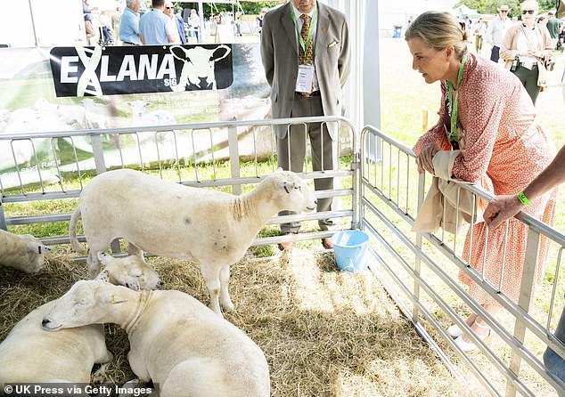 Sophie didn't shy away from farm life. She was pictured swinging over a fence to admire a meadow of sheep enjoying a nap.