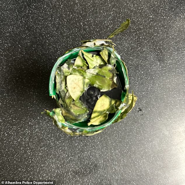 A social network showed a photo of the device: a camera hidden in a green shell surrounded by leaves (pictured)