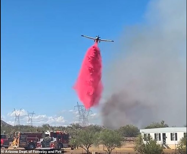 The Arizona Department of Forestry and Fire Management and Tonto National Forest wildland fire crews are working to battle the fire on Friday.