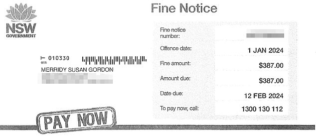 As the fine (pictured) was paid on a public holiday, it also carried double demerit points, and when it arrived a few weeks later, Ms Gordon knew she had to fight it.