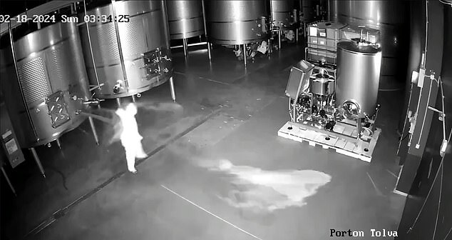 The employee is splashed by the wine coming out of the tank and almost falls to the ground.