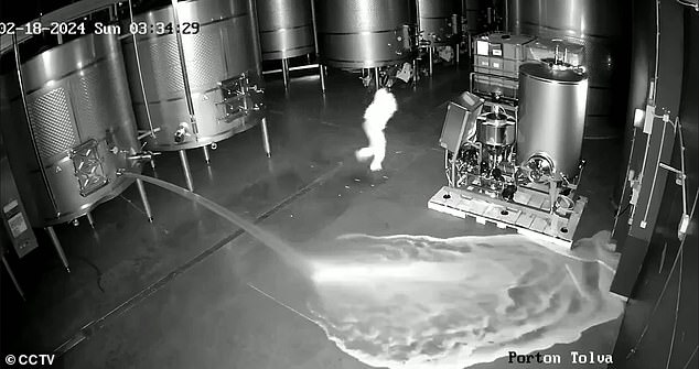 A fired winery worker was arrested on Thursday in northwestern Spain for sabotaging a Cepa 21 warehouse and causing a loss of $2.7 million after releasing 60,000 liters of red wine from three tanks.