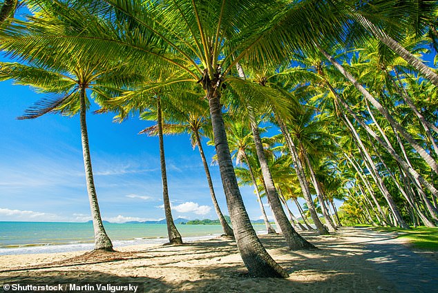 Palm Cove Beach is located within 'Croc Country', which are areas designated as crocodile habitats (file image)