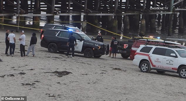 Caedan was swimming on the north side of Pacific Pier south of La Jolla around 2 a.m. Thursday when he disappeared and his body was found nearly two hours later.