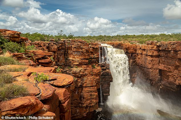 But some towns in regional Western Australia are so desperate for childcare workers that they are now offering up to $150,000 a year to attract and retain staff. Pictured is King George Falls in Kimberley, WA