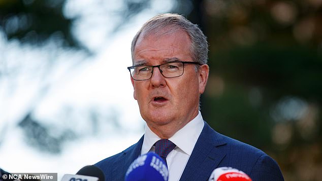 NSW Attorney General Michael Daley says new bail reform will help protect the most vulnerable