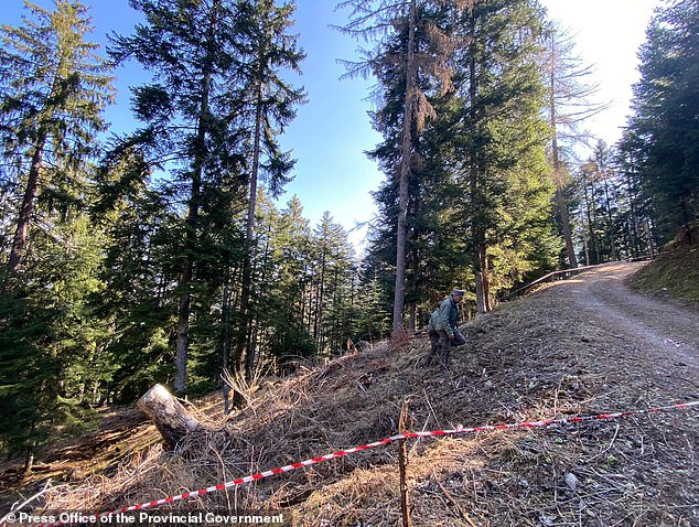 The forested area cordoned off near the municipality of Caldes after the death of Andrea Papi