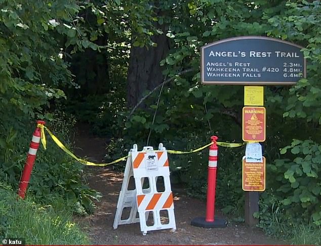 lumenfeld was running along the Angel's Rest trail in the Columbia River Gorge on Tuesday when the big cat jumped out of the woods.