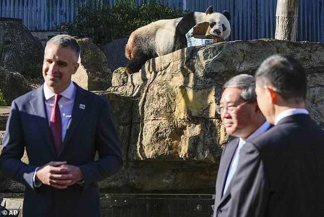 Chinese Premier Li Qiang (pictured center) announced a panda swap at Adelaide Zoo on Sunday.