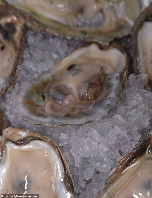 He explained that the oysters are actually still alive when customers eat them, and viewers were left in total disbelief at the revelation.