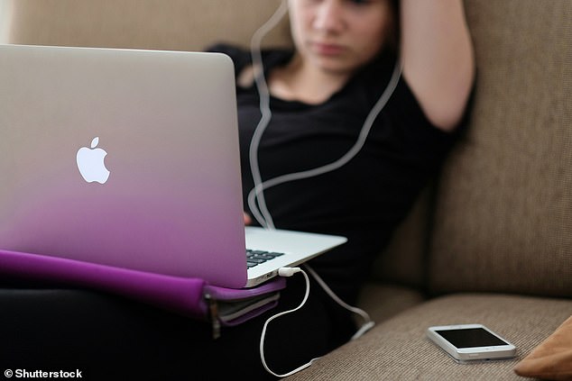 Internet addiction rewires teens' brains and may make them more likely to engage in other addictive behaviors, new research suggests (file photo)