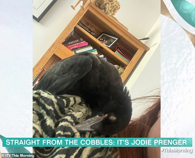 Speaking about her latest edit, Jodie shared the birds' comical name to the delight of everyone in the studio.