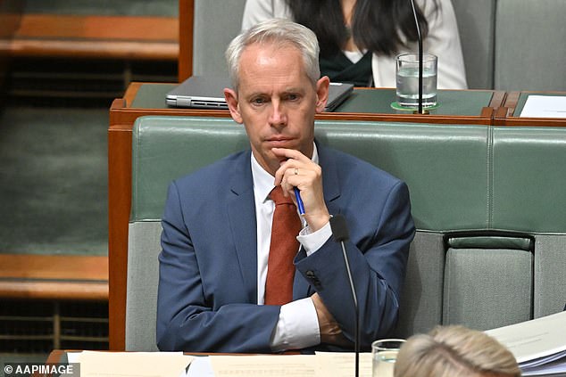 Immigration Minister Andrew Giles (pictured) has come under fire after a series of detainee disasters and the opposition has called for his resignation.