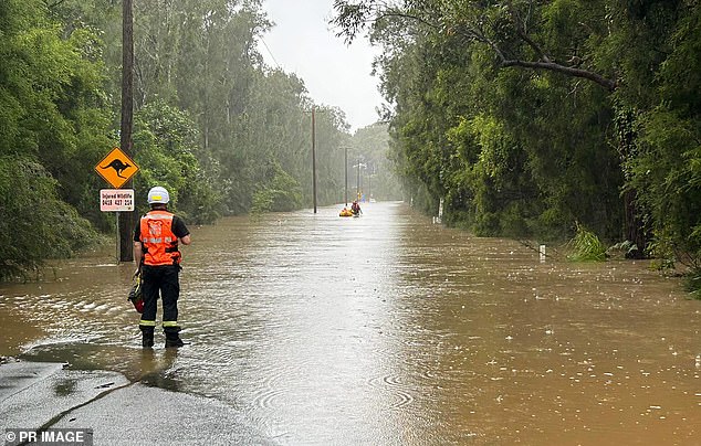 Heavy rain is expected to fall in south-east Australia with up to 80mm forecast for parts of Tasmania (file image)