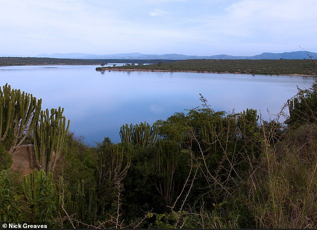 Uganda's Kazinga Channel (pictured) links Lakes George and Edward and is a destination for tourists, as popular boat cruises provide incredible wildlife viewing opportunities.