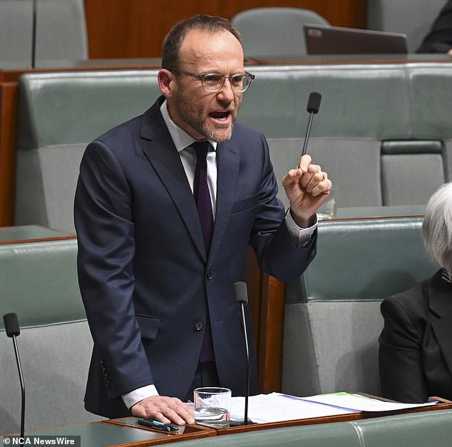 Jobs Minister Tony Burke also slammed the Greens, saying their leader Adam Bandt (pictured) was knowingly selling out 