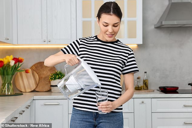 A low-cost option for cleaning water is a pitcher filter; However, the gold standard is one installed under the sink or a whole-house filtration system.