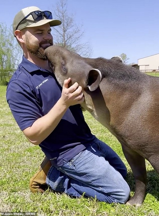 Joren has been running his chiropractic clinic since 2016 and sees an average of 80 animals a week.