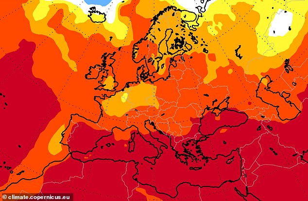 The Copernicus Climate Change Service (C3S) seasonal forecast covering July, August and September predicts extreme and higher than average temperatures in the Mediterranean (pictured: probability of temperatures being in the highest percentiles of the climatology for seasonal means, with an 'above-normal change exceeding the 80th percentile)