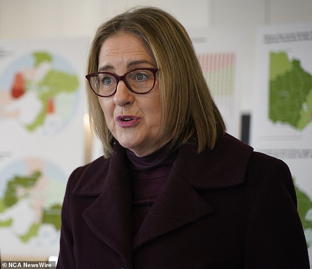 Premier Jacinta Allan said rate increases have not yet been finalized and for properties under $500,000 the preferred rate changes would make them cheaper.