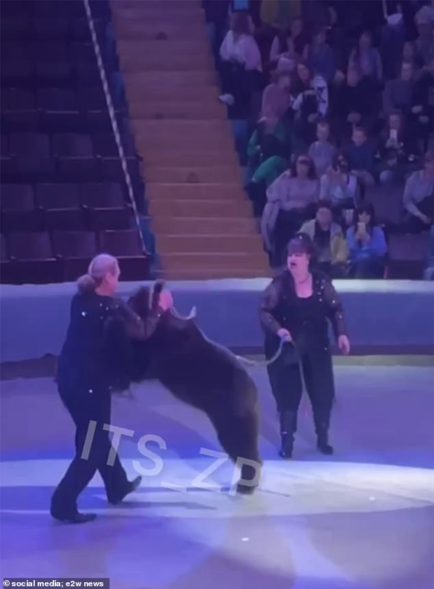 A coach was attacked by a bear in April after giving it a treat during a performance in Ukraine.