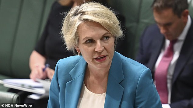 Environment Minister Tanya Plibersek declined to comment on the matter, stating: 