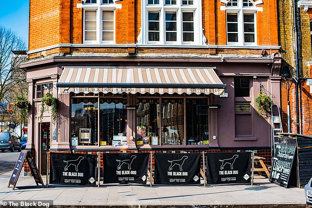 His song London Boy makes references to Brixton, Soho, Camden and Shoreditch, to name a few, while one of his latest songs, The Black Dog, is based on a Vauxhall pub (pictured).