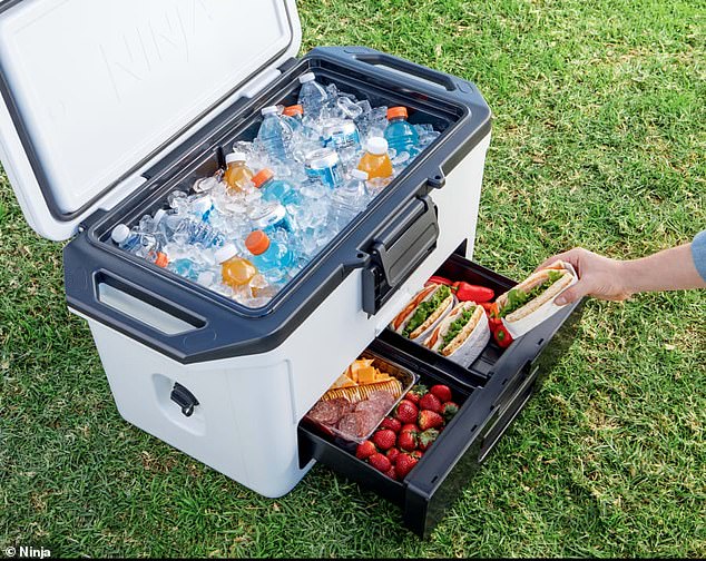 It has produced the Ninja FrostVault, which comes with a 'dry zone' drawer, the first of its kind, that keeps food cold without getting it wet for the price of $250.