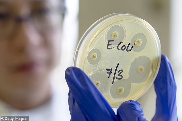 More than 200 Britons are now known to have been affected by Shiga toxin-producing E. coli (STEC), a rare strain of the virus that causes diarrhoea, in recent weeks.