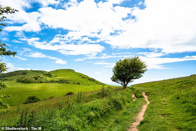 Cara and Jeremy loved Britain's network of public footpaths. Above: Doghouse Hill near Seatown in Dorset