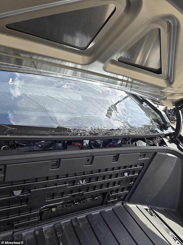 The windshield was shattered by the impact of the collision.