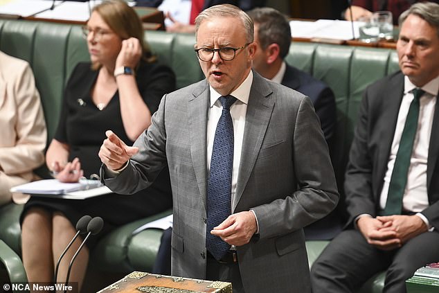 Many Australians like Emma are calling for more cost of living relief from Prime Minister Anthony Albanese (pictured)