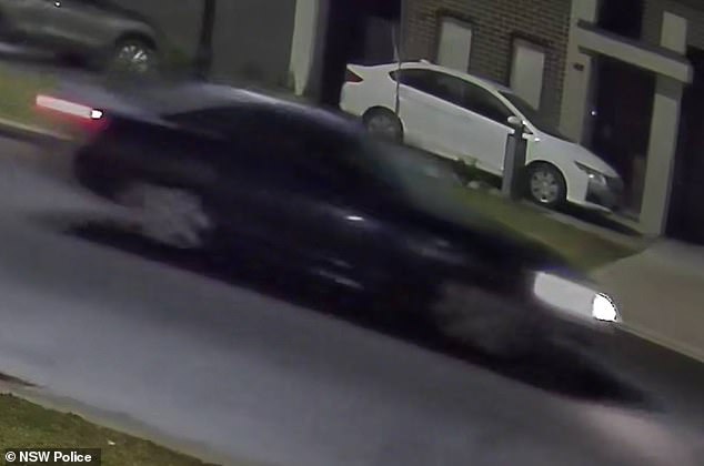 Police have released images of the purple coupe (pictured) that allegedly hit the grandfather and did not stop.