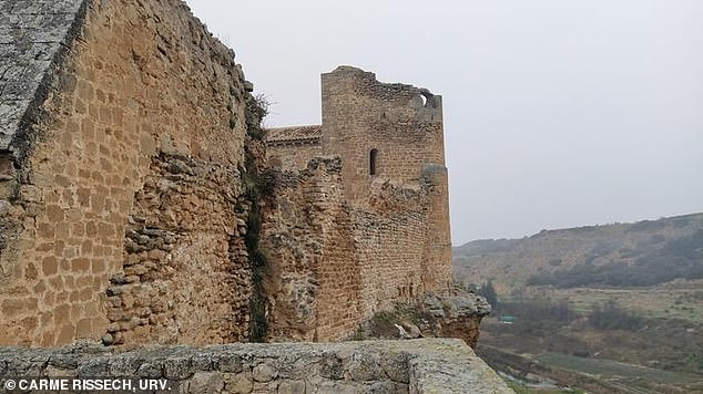 The woman's remains showed muscular marks on her shoulders and arms that were consistent with the sword training attributes seen among warrior monks, and while some researchers have also speculated that she should be a servant at the castle who was called to join the knights, the lead researcher does not believe that to be the case because her bones would show signs of servant work.