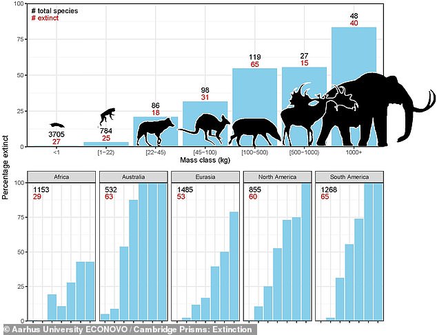 The researchers observed that 40 of the 48 large mammals known during this period (top right of the graph) became extinct, while only a decreasing percentage of each remained. 