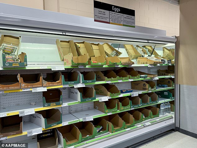 Egg shortage at a Coles supermarket in Canberra on Sunday