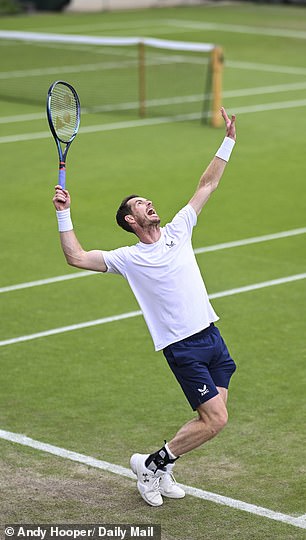 Murray feels he can't perform at his best due to injury