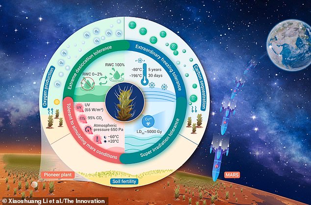 Pictured here is the team's graphic summary showing the plant's ability to convert Martian CO2 into breathable oxygen while withstanding radiation and freezing temperatures.