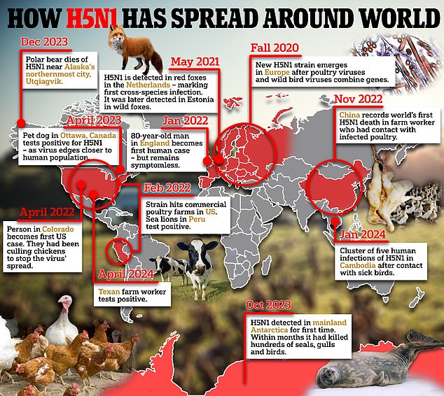 1719945216 655 How the H5N1 bird flu epidemic could affect your McDonalds