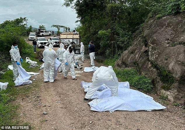 The victims, according to the Attorney General's Office of the State of Chiapas, were hitmen linked to the Guatemala and Chiapas Cartel, an organization linked to the Jalisco Nueva Generación Cartel, which is fighting the Sinaloa Cartel over arms, drug and migrant trafficking routes in La Concordia, a town located 80 kilometers from the border with Guatemala.