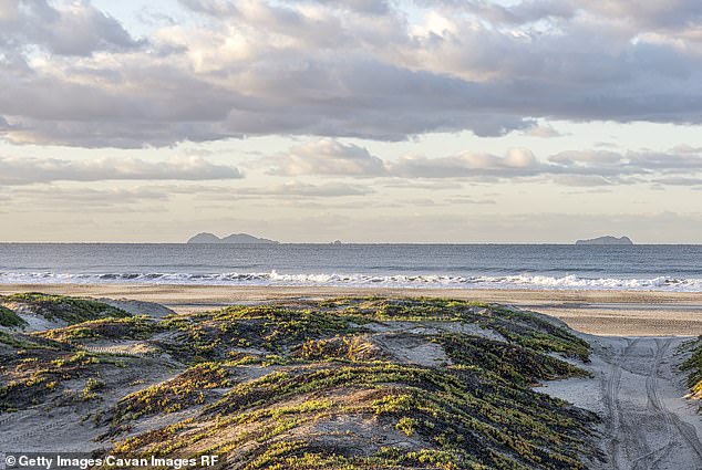 California has closed at least three beaches in Coronado (pictured) along San Diego Bay over the past week, warning that 