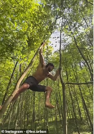 Leo is pictured above in the Bialowieza Forest in Poland.