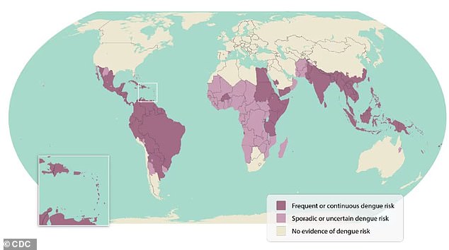 The image above shows a world map highlighting dengue risk areas. Public health officials warn that there is an increased risk of dengue in the United States.