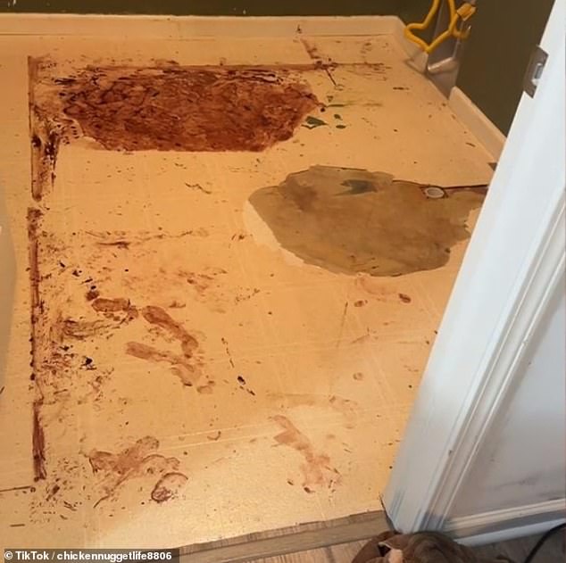 She described removing the top layer of tile in the laundry room after a water leak, only to find a disturbing reddish stain spread across the floor below.