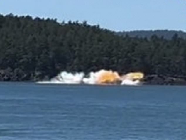 The 90-year-old man died after the small aircraft he was piloting crashed near Orcas Island in early June, causing a fireball as the plane hit the water, which was caught on video.