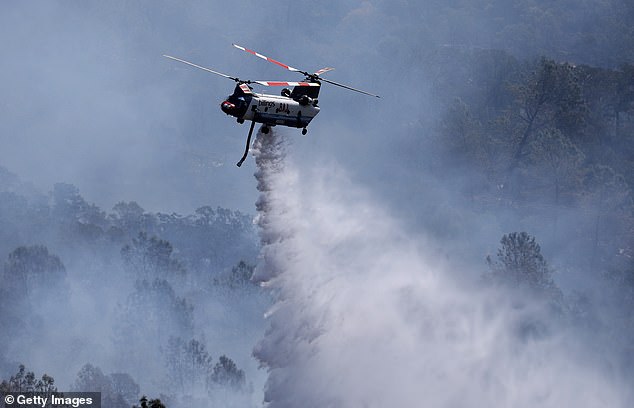 More than a dozen aircraft, 50 engines and 15 excavators were involved in the fighting.